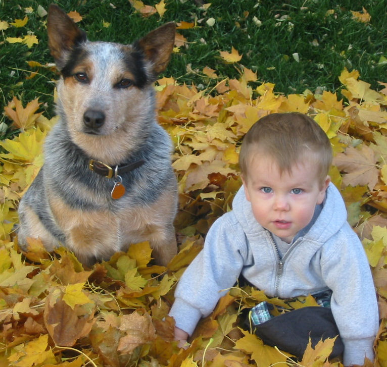 Dogs-For-Kids-Parenting-Advice