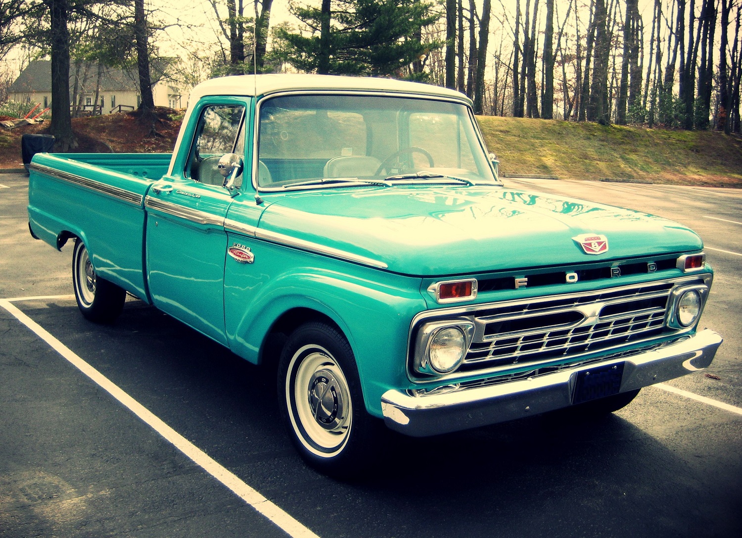 affordable-classic-1966-ford-f100-for-sale