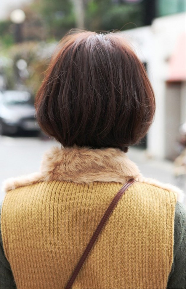 Back-View-Of-Cute-Asian-Bob-Hairstyle