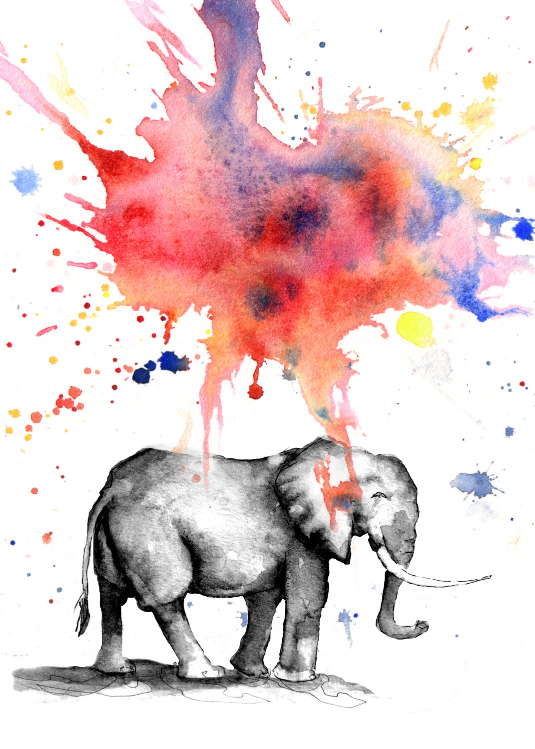 Colorful Elephant Watercolor Colorful eleph