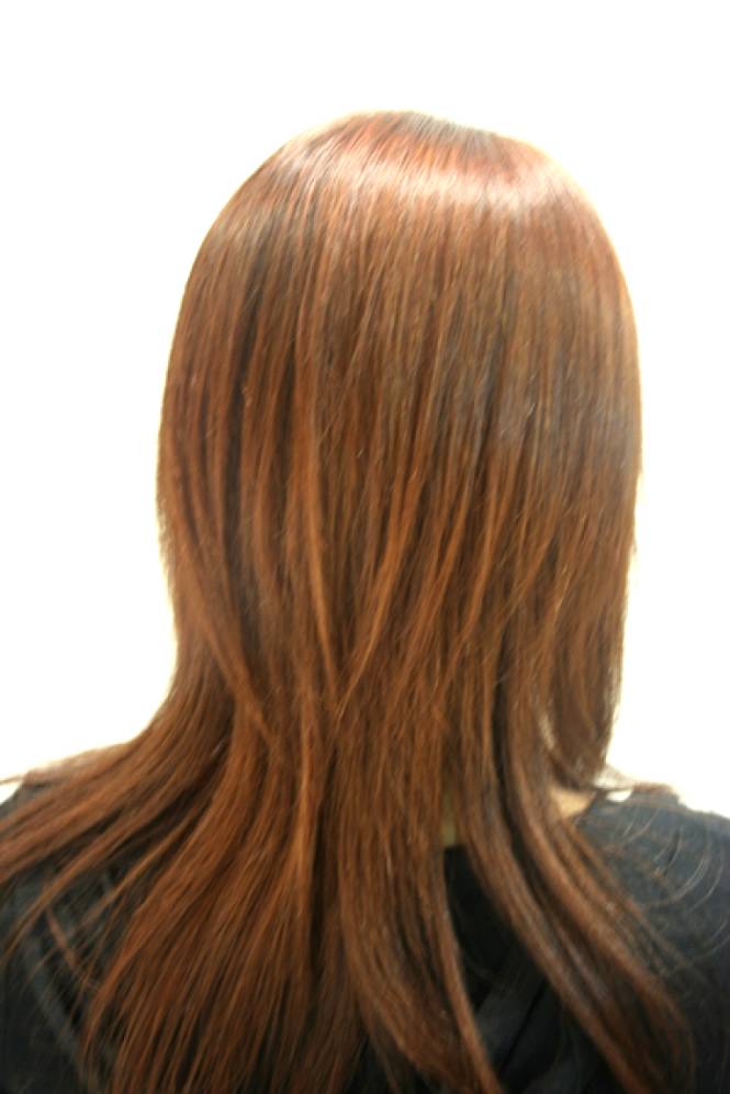 Long Layered Haircuts From The Back View