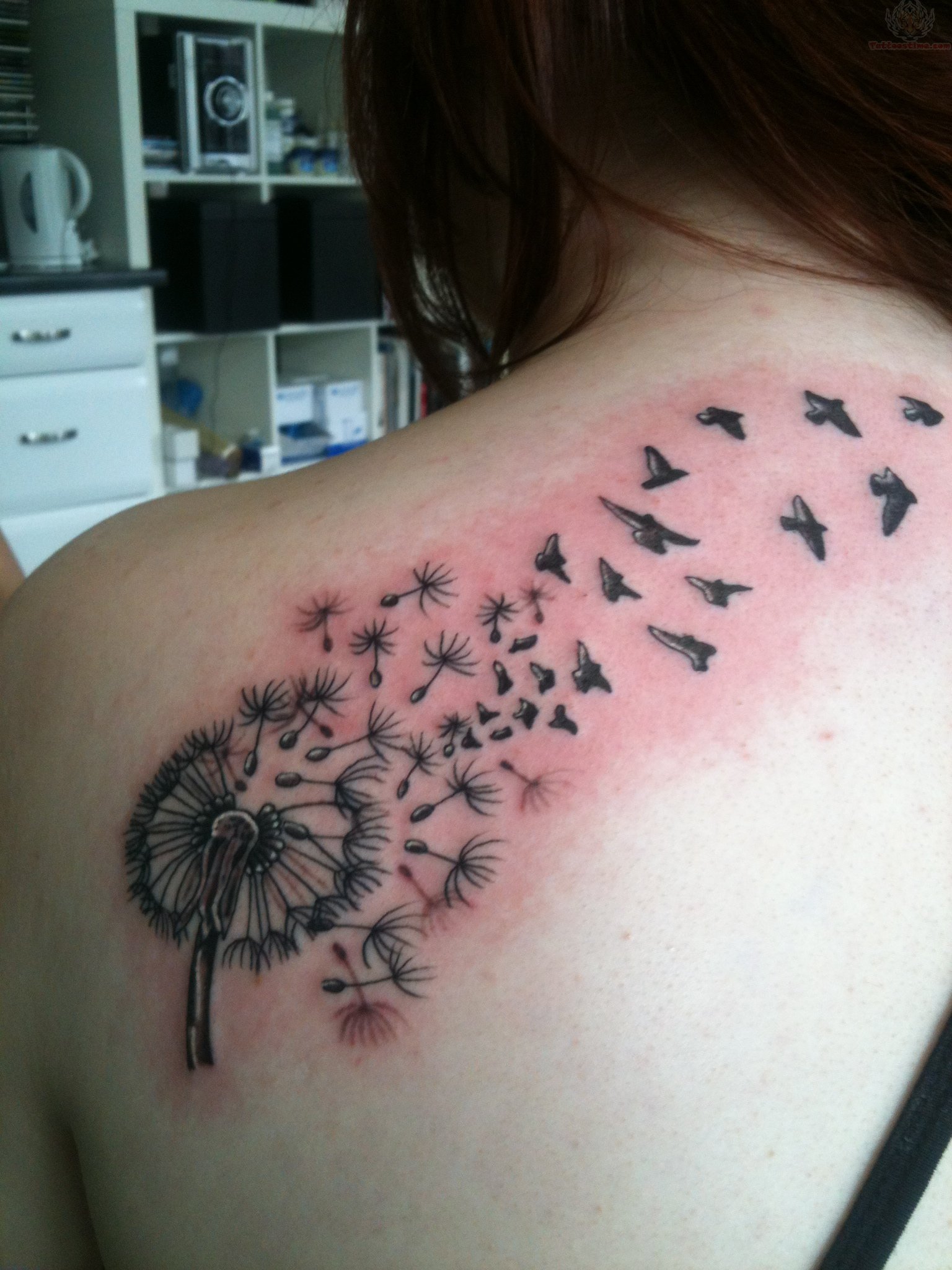 colored-dandelion-back-shoulder-tattoo
