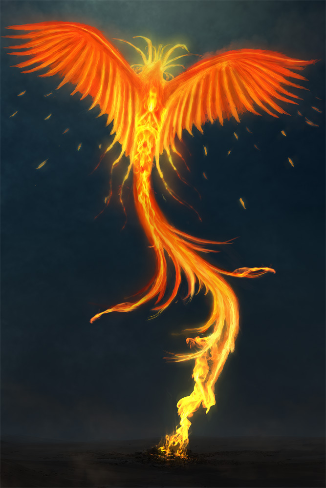 phoenix_reborn_by_suirebit