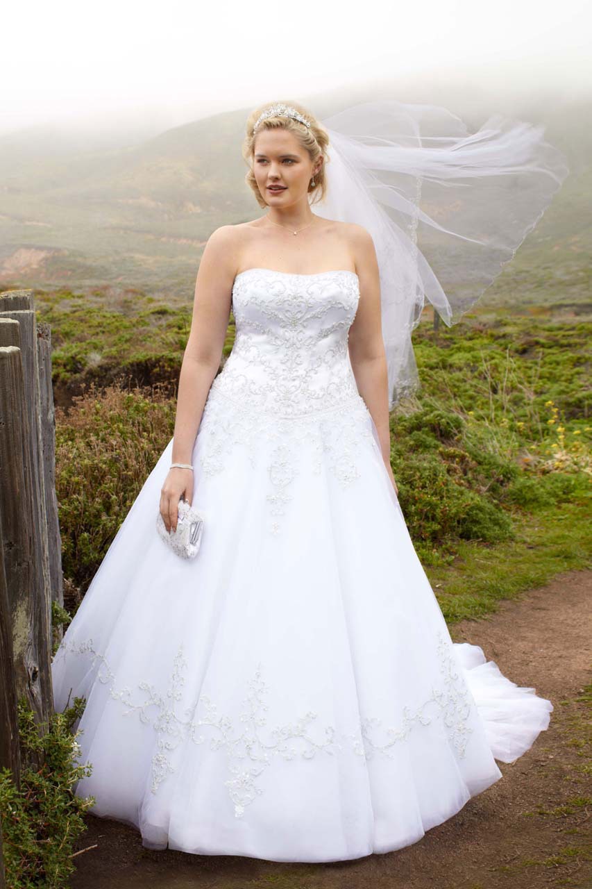 plus-size-wedding-dresses-ball-gown-custom-made-embellished-waist-and-ruffled-skirt-bridal-ball-gown-dresses-gallery