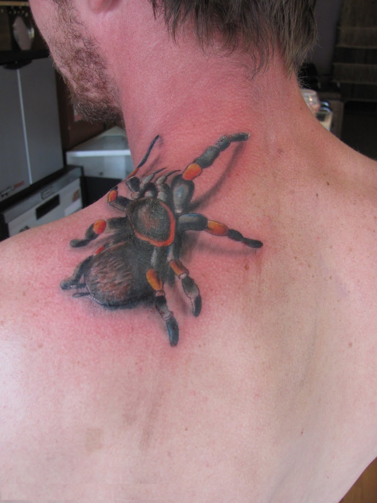 3d-spider-tattoo-designs