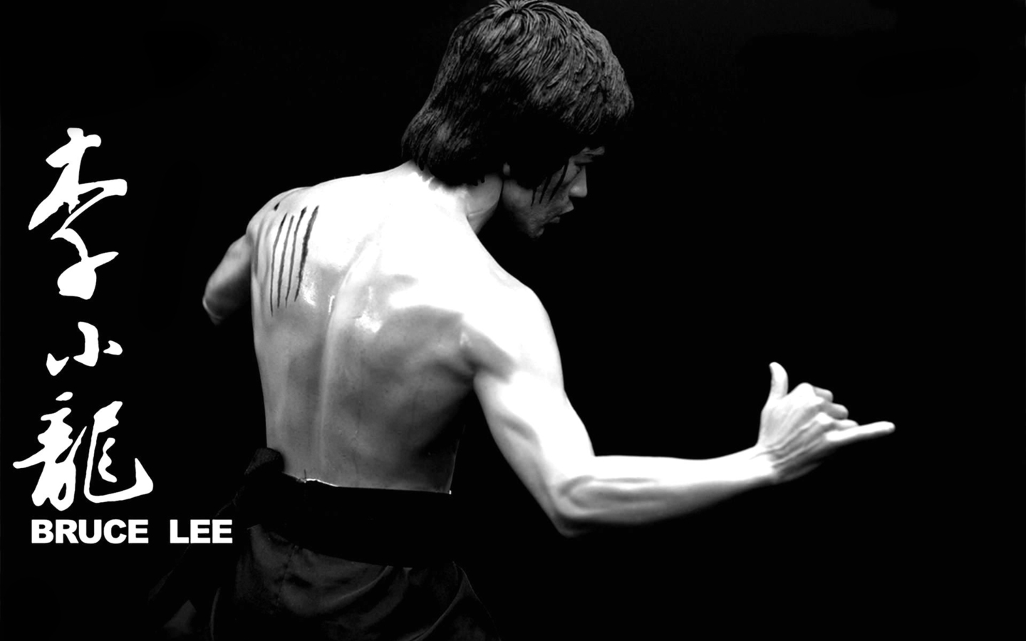 Bruce Lee martial Art