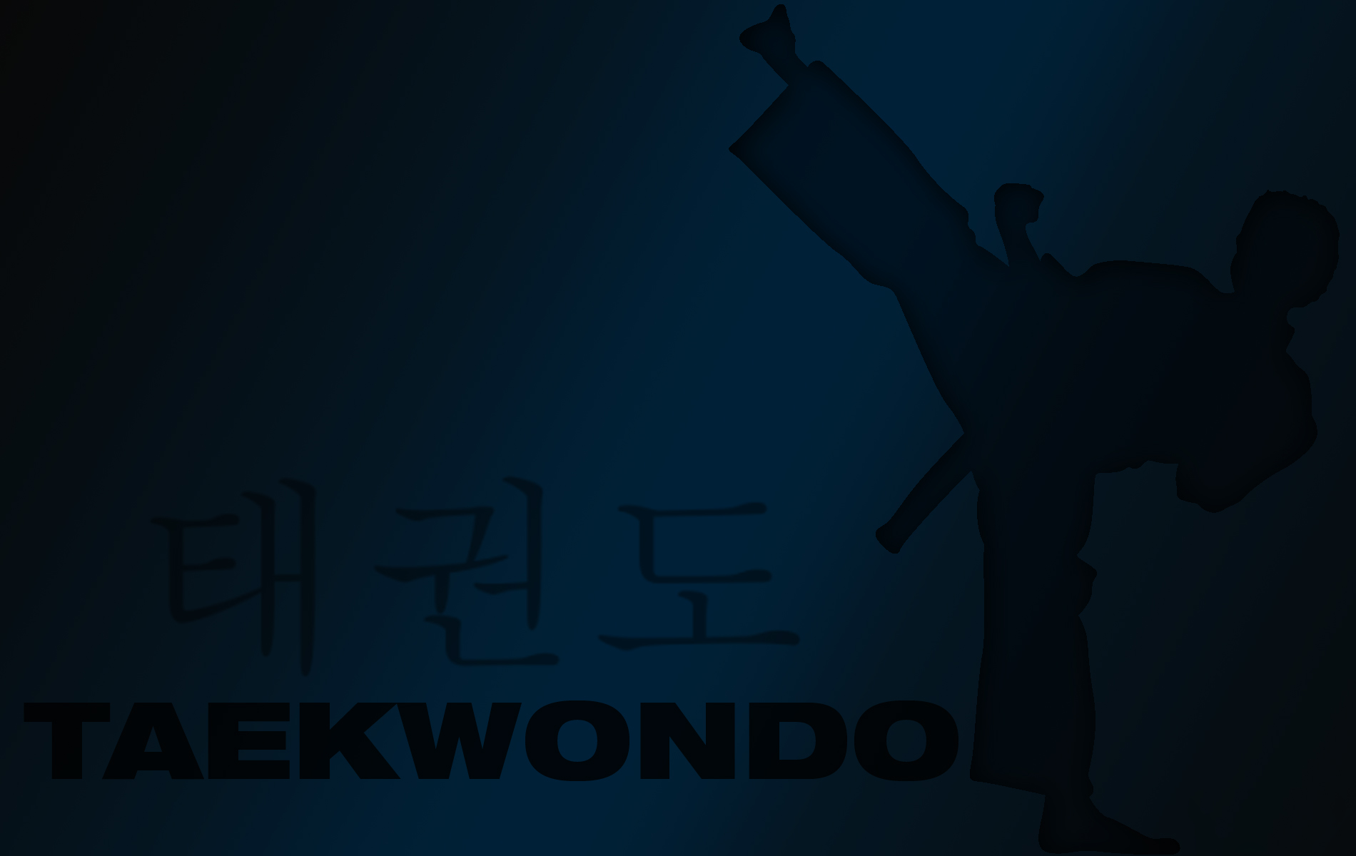 Take Wondo martial Art Wallpaper