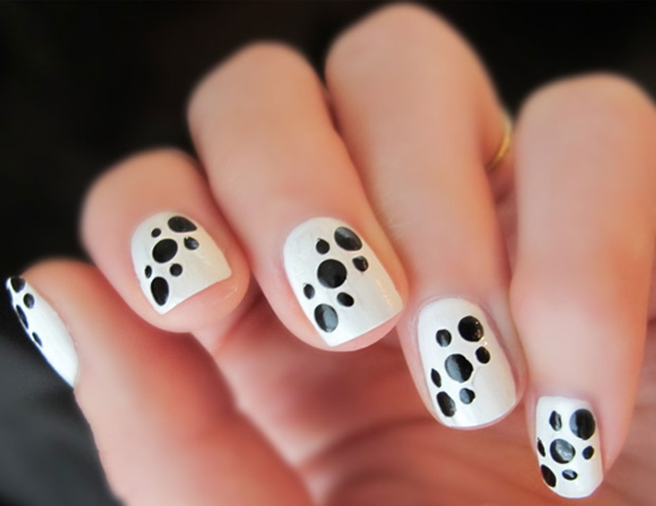 black-and-white-animal-dot