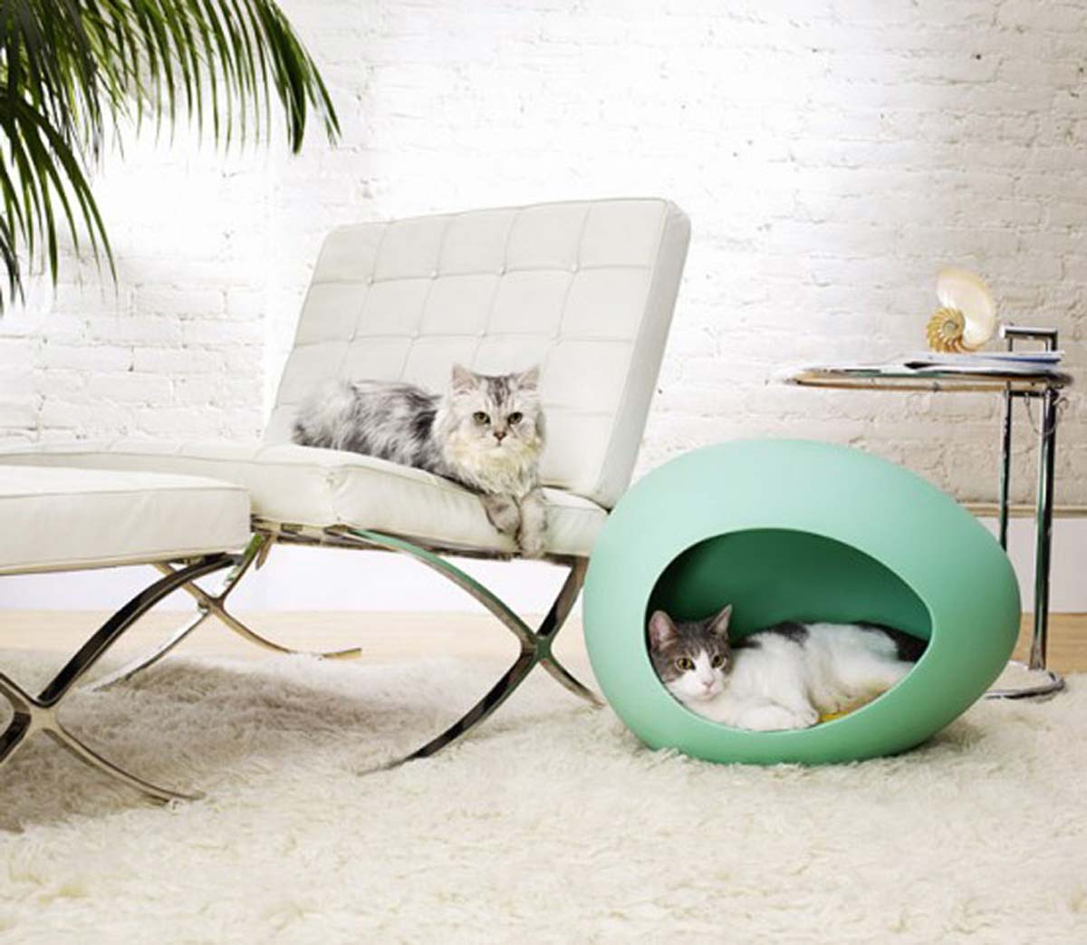 classic-unique-contemporary-furniture-for-your-pets-room
