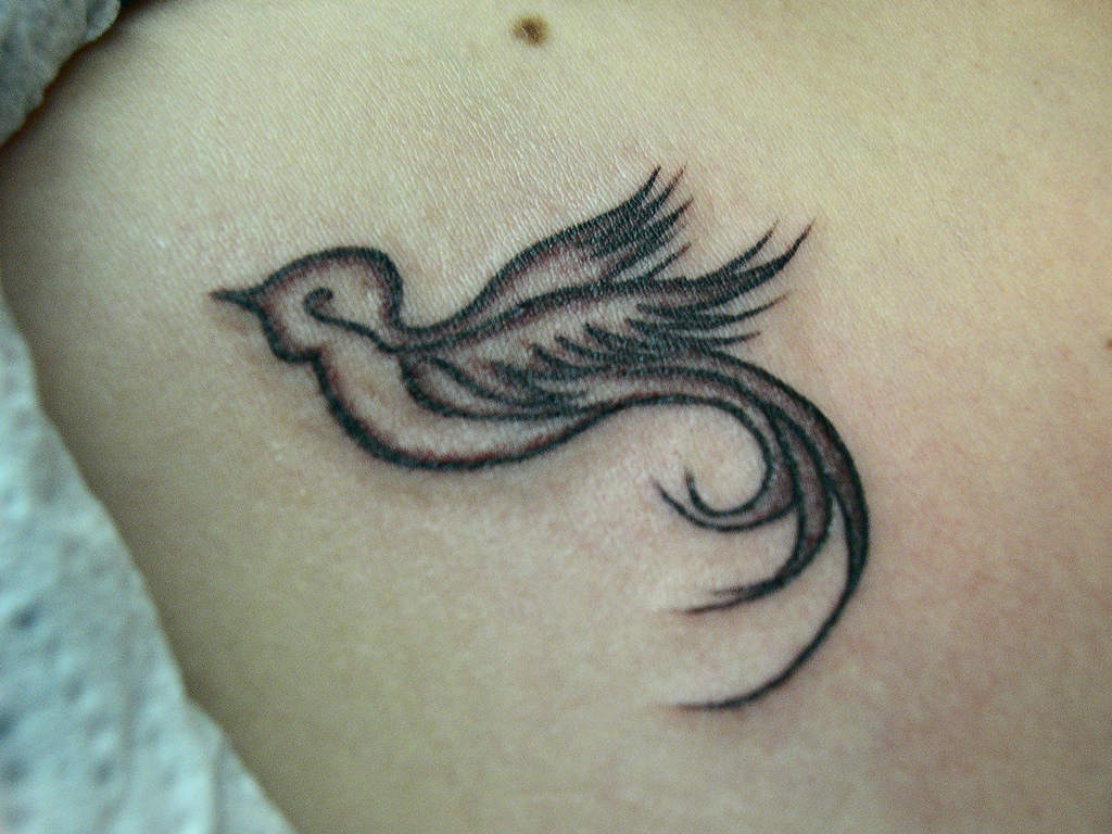 Humming Bird Drawing Tattoo