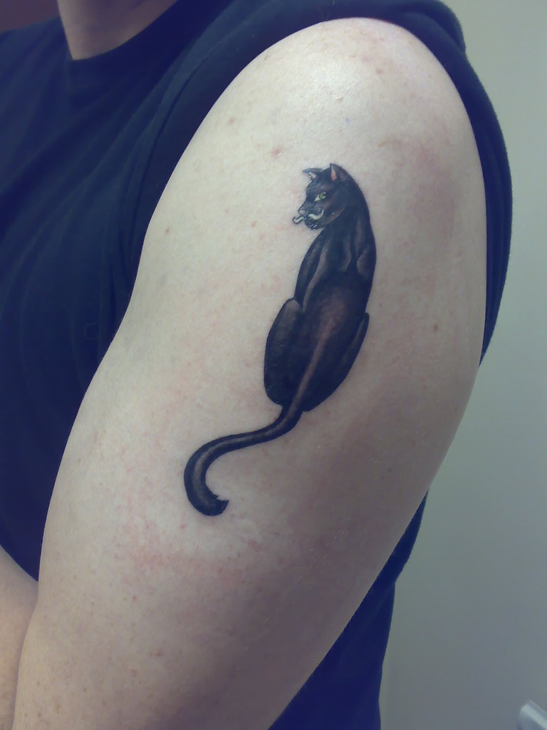 Cat Stunning Tattoo Style Designs