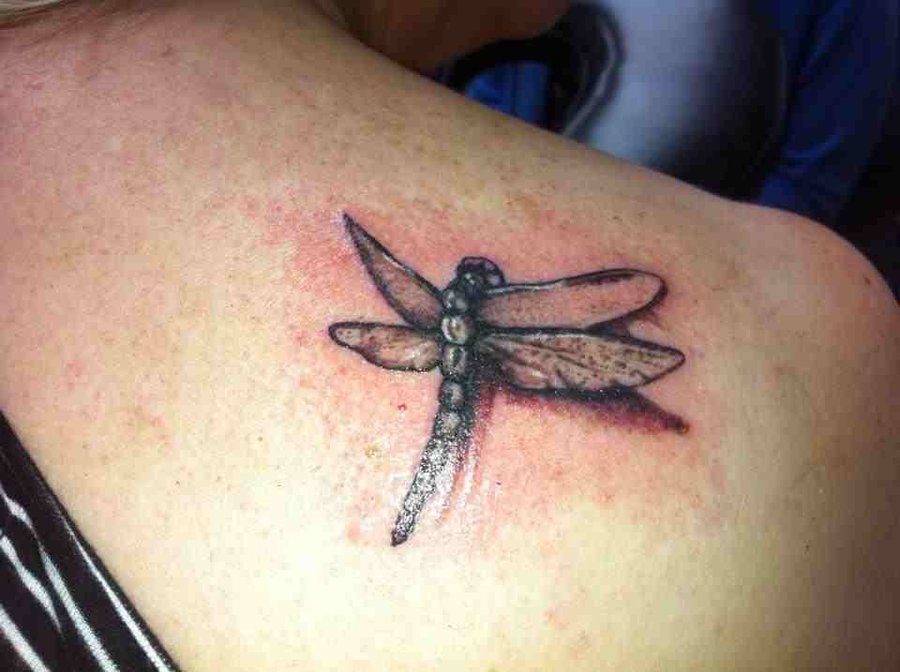 3D Dragonfly Tattoo On Back Shoulder