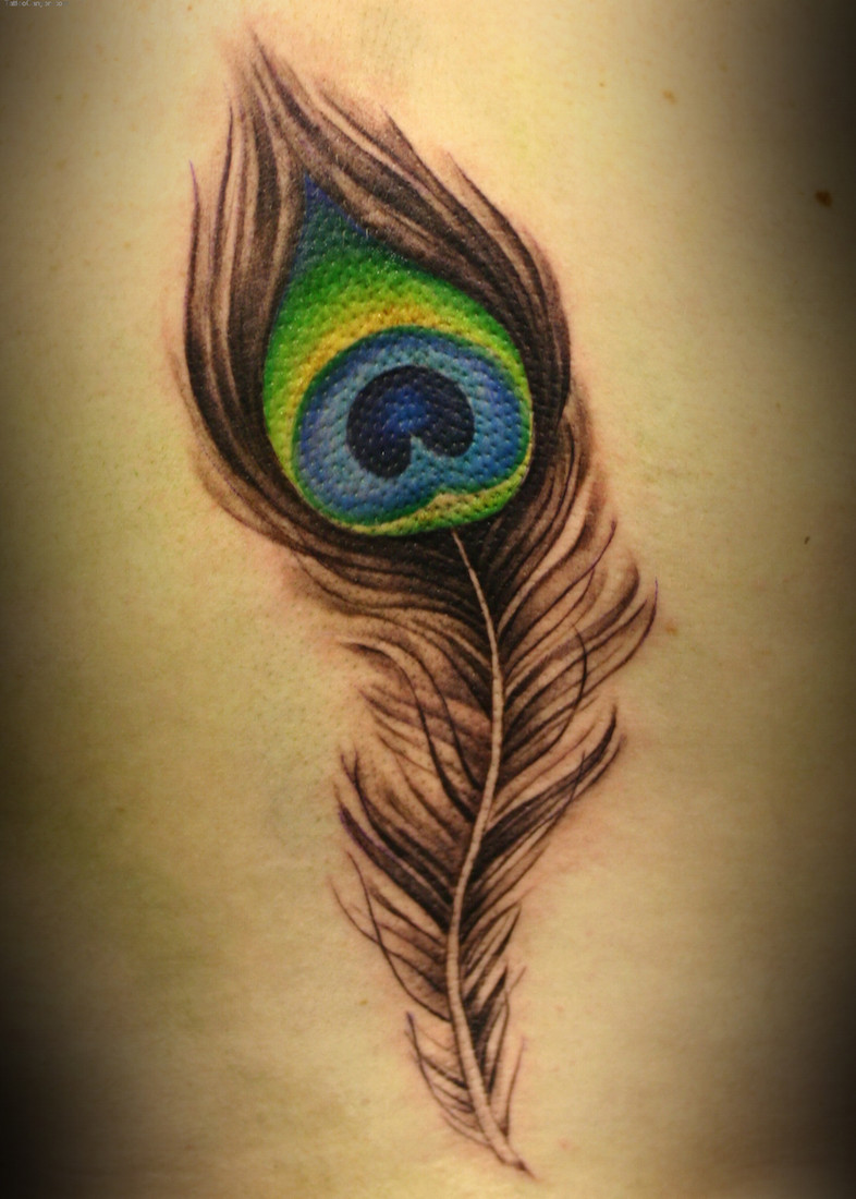 Fine Colored Peacock Feather Tattoo