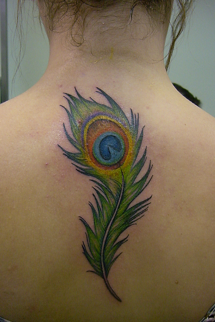 Peacock feather tatoo