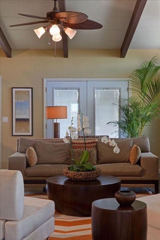 Tropical Living Room Design with Brown Couch and Palm Tree
