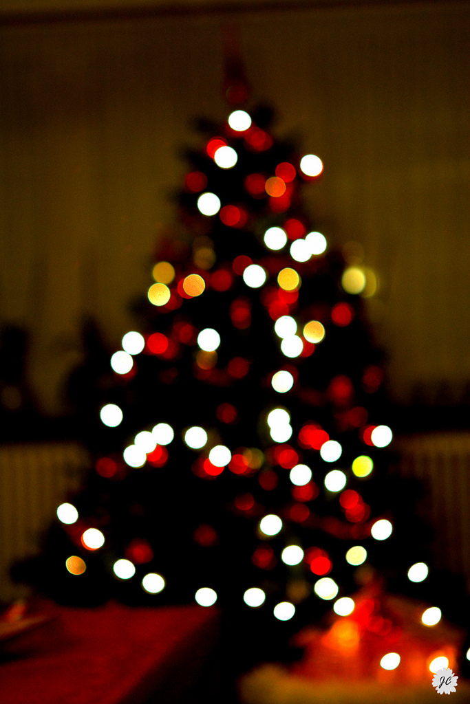 Beautiful Christmas tree light