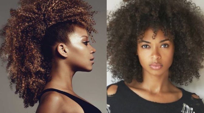 20 Afro Hairstyles For African American Womans Feed Inspiration 