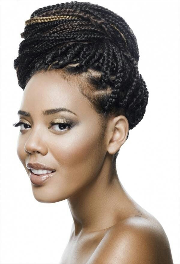 African American Braids Hairstyles