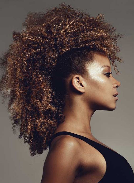 Afro Hairstyles For African American Woman