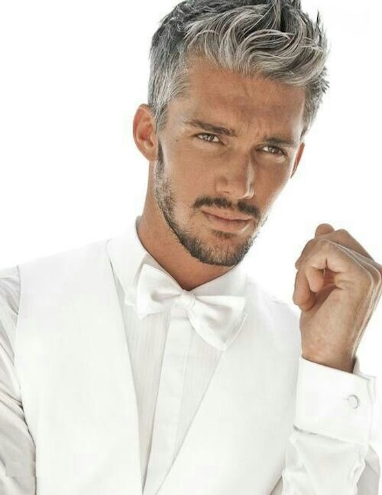 Amazing Gray Hairstyles For Men Feed Inspiration