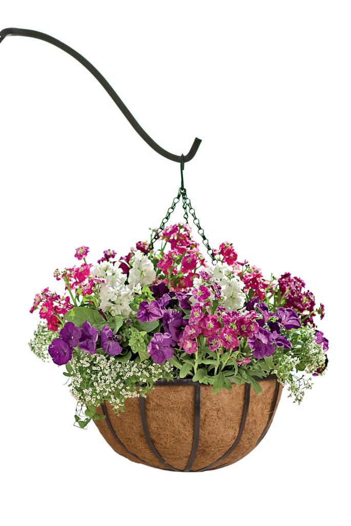 Flowers in the hanging bowls