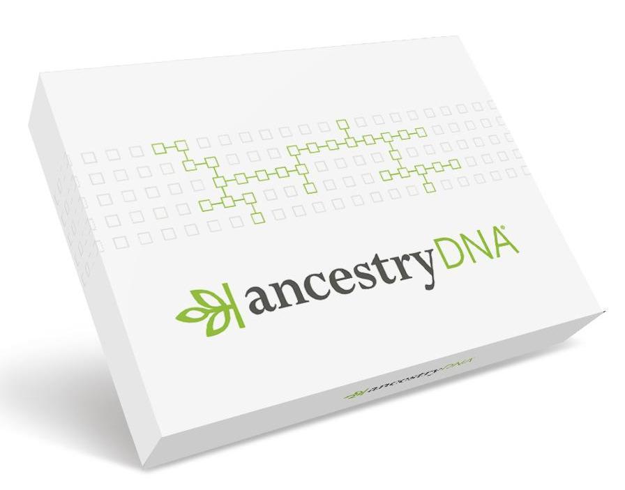 What S Your Heritage Here S The 4 Best Ancestry Dna Testing Kits In 2019