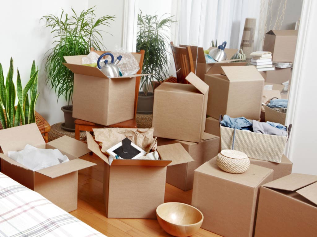 Who are Removalists and What Do They Do? - Quick Guide